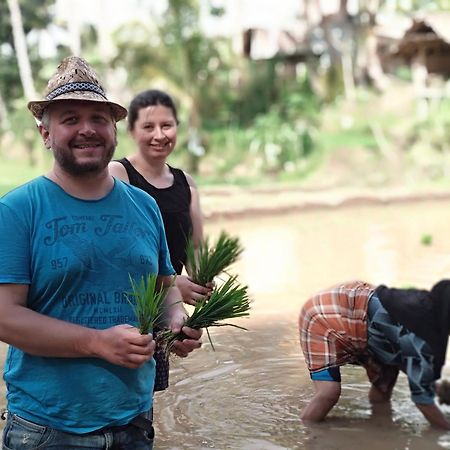 Alfarizi Homestay Tetebatu Exteriér fotografie