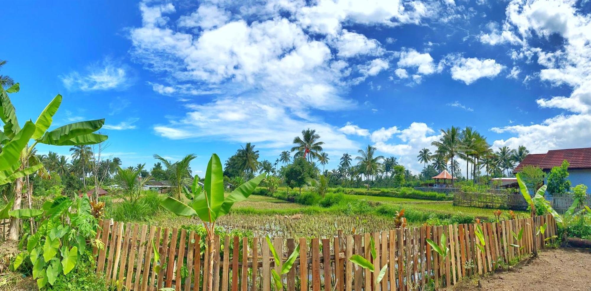 Alfarizi Homestay Tetebatu Exteriér fotografie