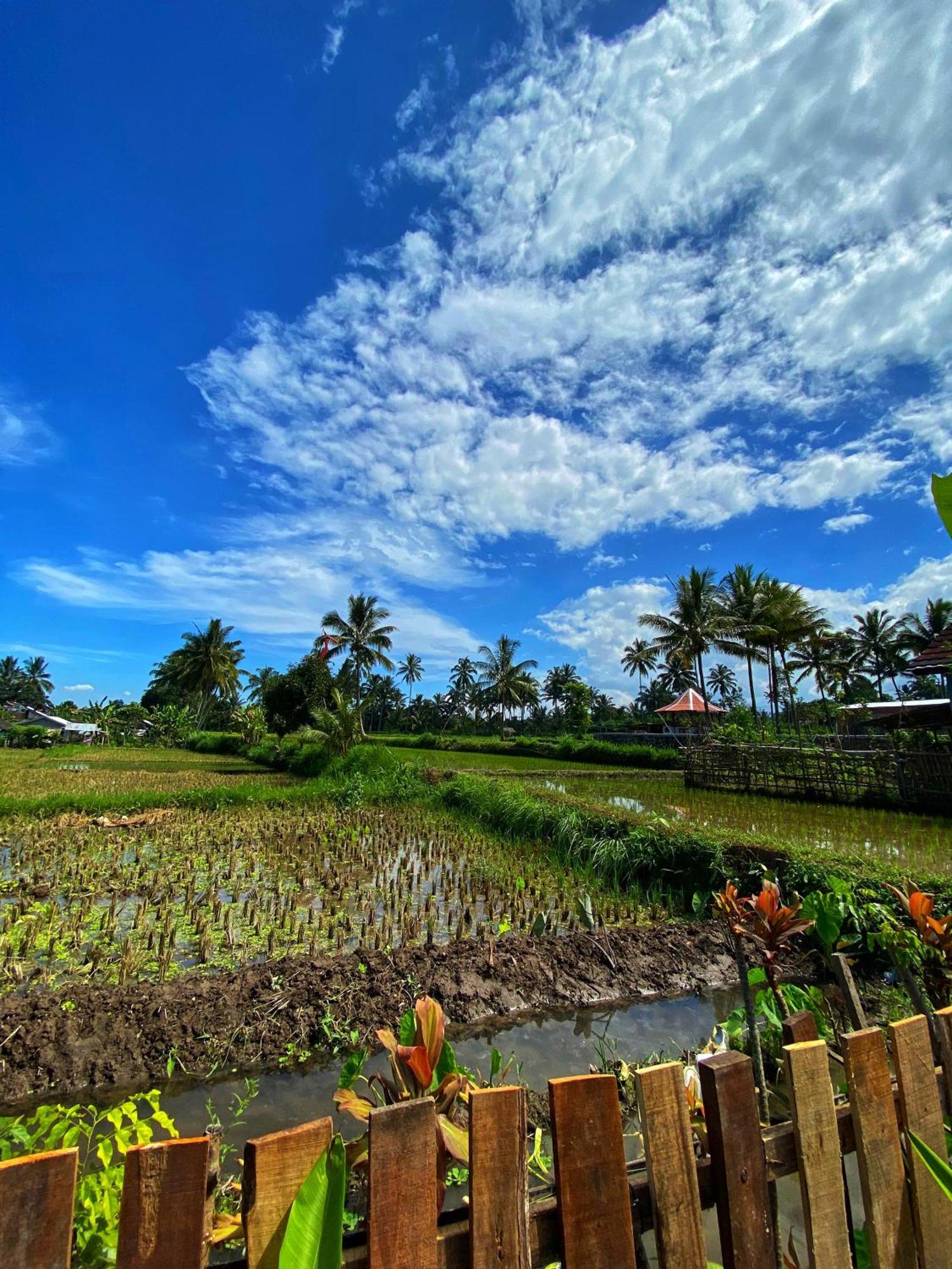 Alfarizi Homestay Tetebatu Pokoj fotografie