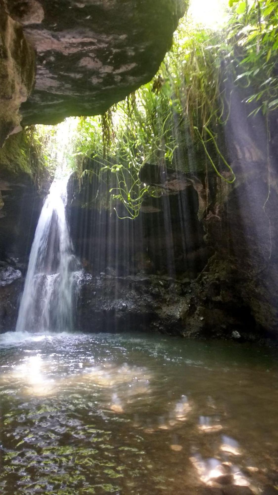 Alfarizi Homestay Tetebatu Exteriér fotografie