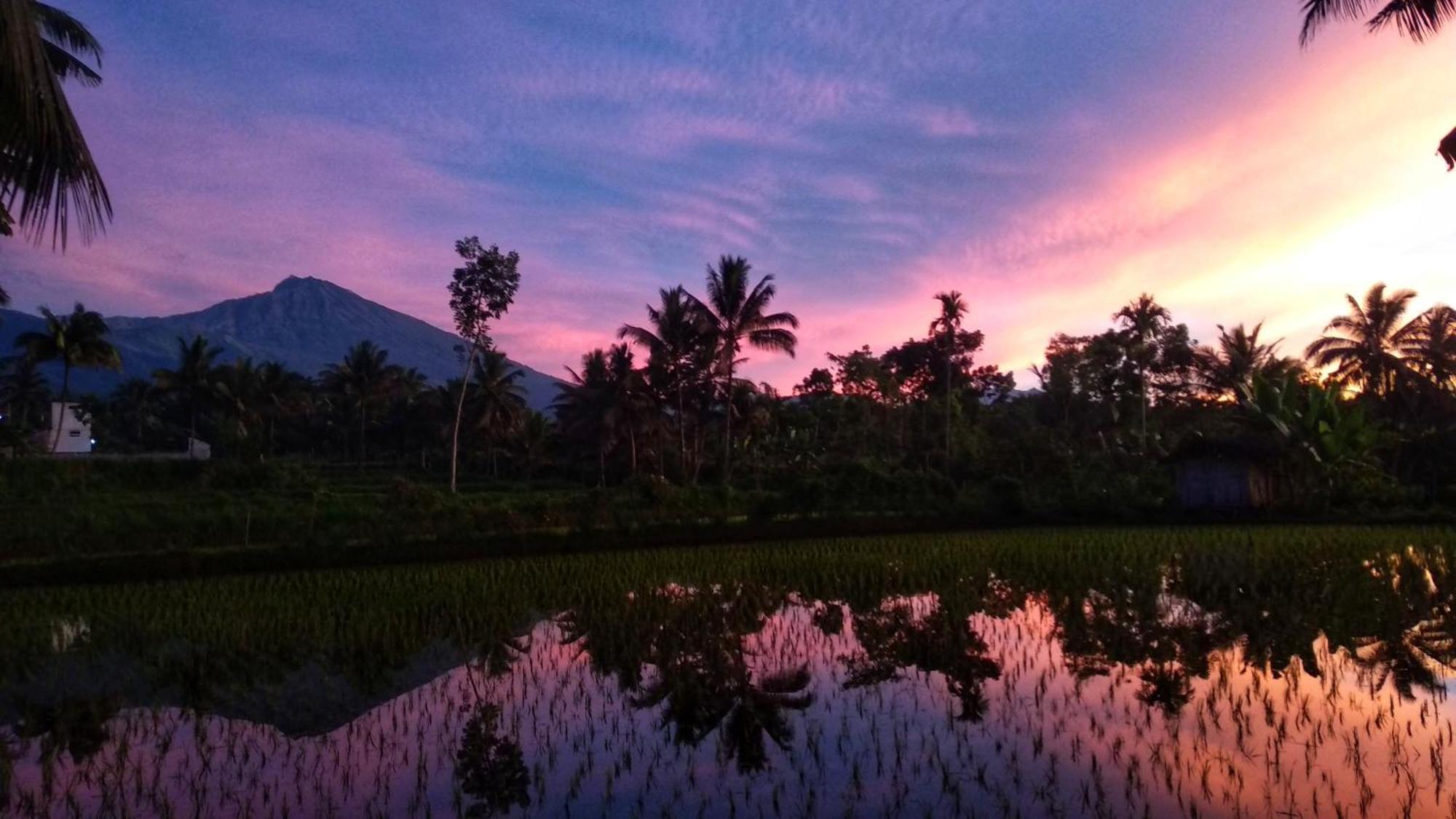 Alfarizi Homestay Tetebatu Exteriér fotografie