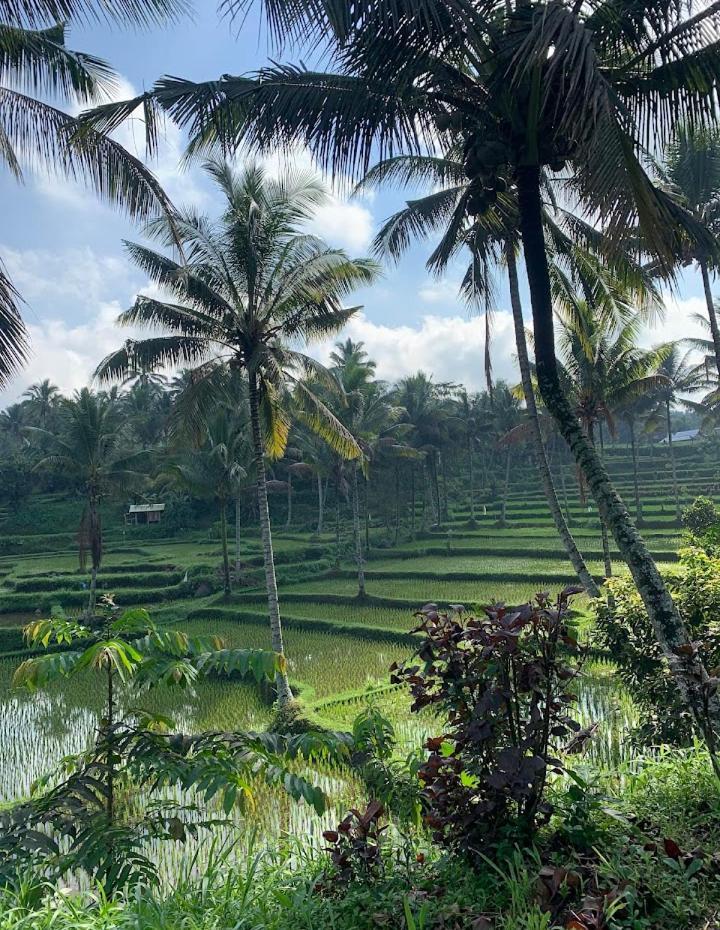 Alfarizi Homestay Tetebatu Exteriér fotografie