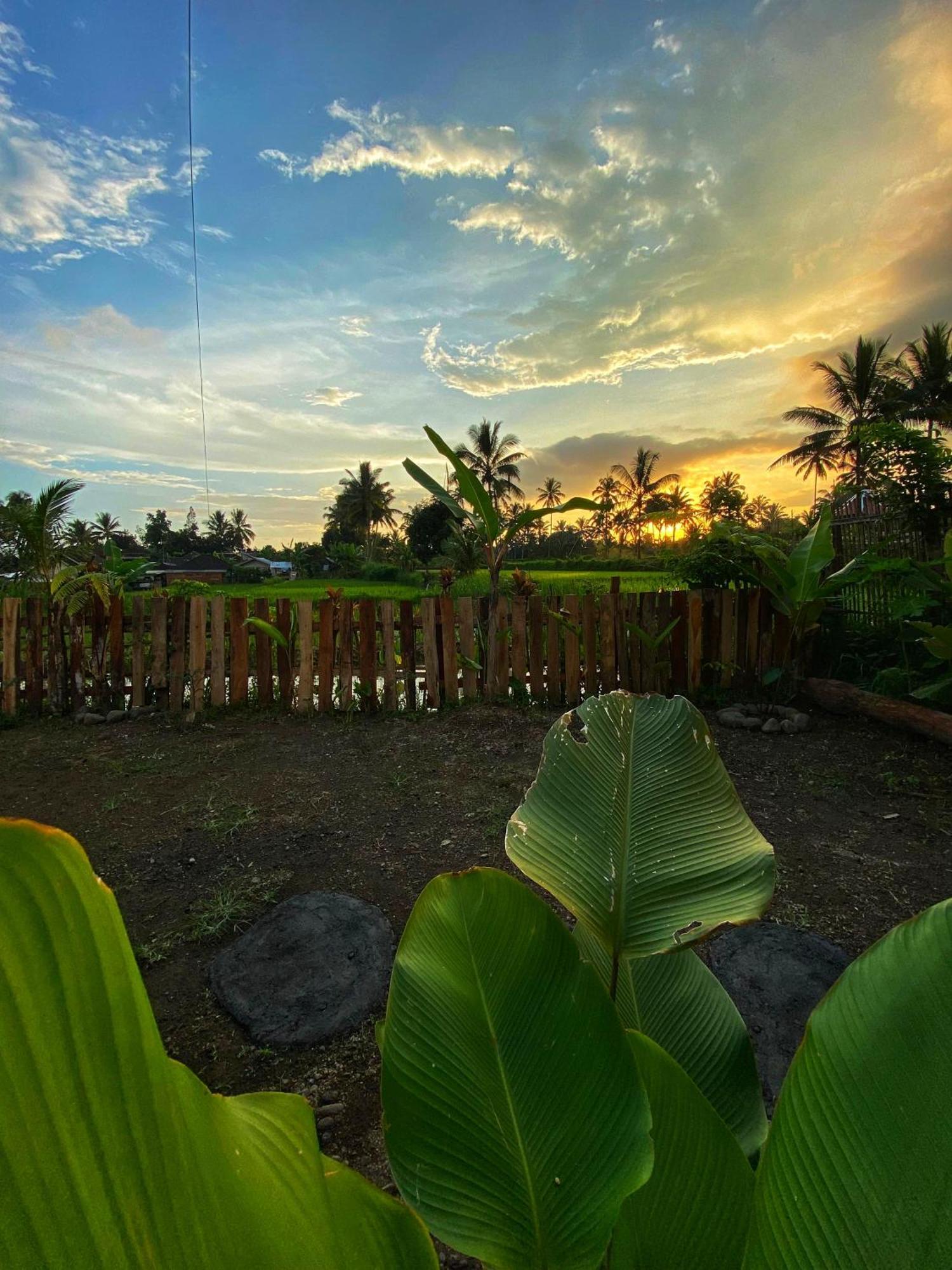 Alfarizi Homestay Tetebatu Exteriér fotografie