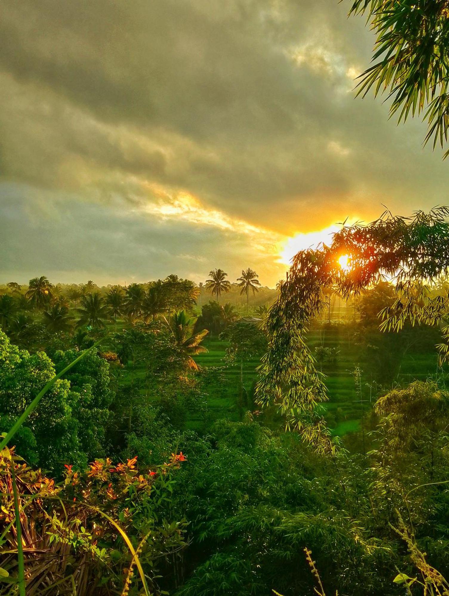 Alfarizi Homestay Tetebatu Exteriér fotografie