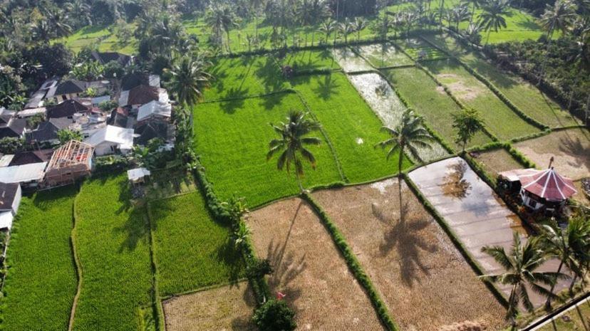 Alfarizi Homestay Tetebatu Exteriér fotografie